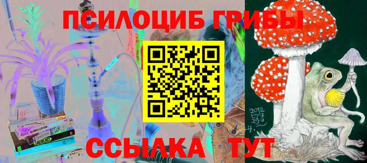 Набережные Челны  Псилоцибиновые грибы Psilocybe  Вход с VPN  Псилоцибиновые грибы Cubensis 